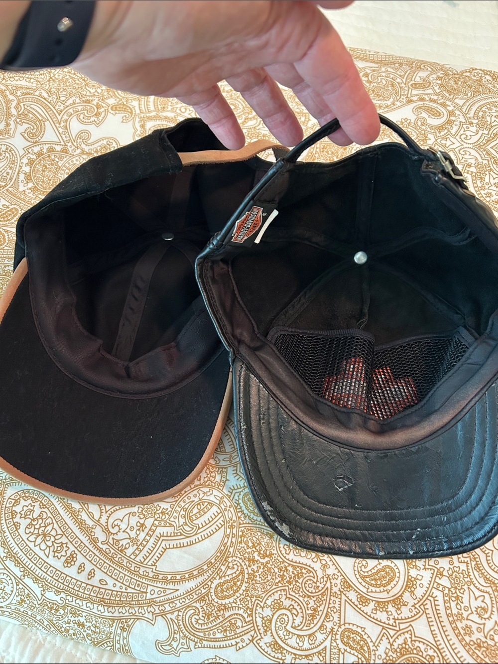 Harley-Davidson Black Caps with Orange Logo Accents - Pair - Picture 2 of 4